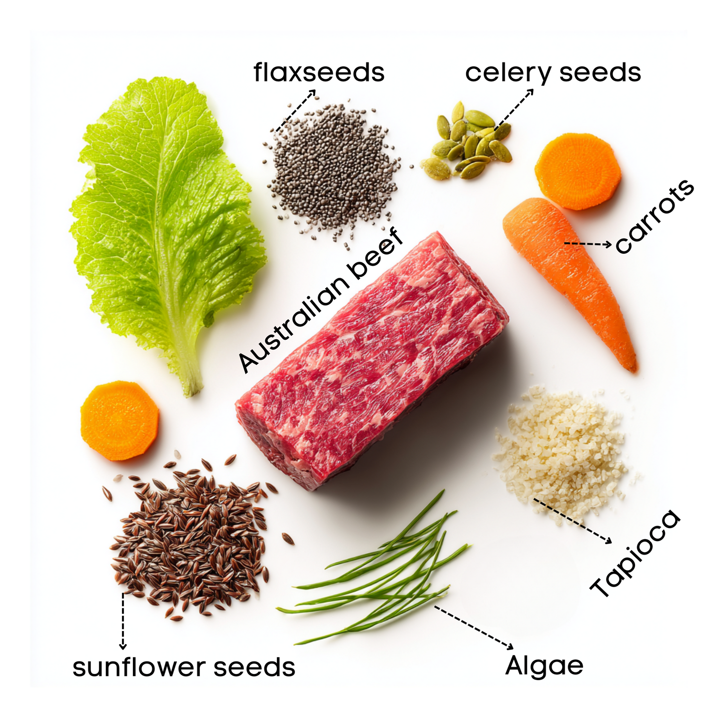 Freeze-Dried Beef Bites