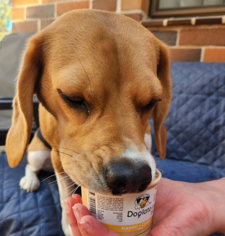 My 2 dogs love their products and they are made from human-grade ingredients. They both go absolutely crazy when they see the doglato tub. They are also made from fruits and vegetables and are a great treat on a hot summers day, they even enjoy them in winter. They also love the doglato bars, they are great to chuck in my bag when I take the dogs out for the day.