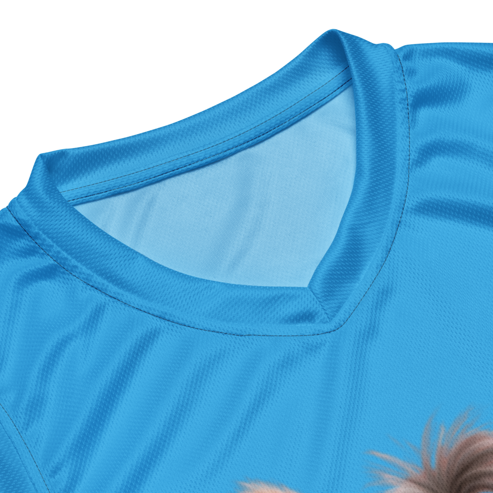 Yorkshire terrier Jersey