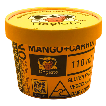 24 x Mango + Carrot Gelato