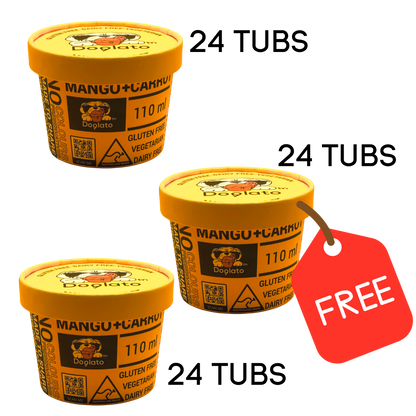 48 x Mango + Carrot Gelato, GET 24 FREE