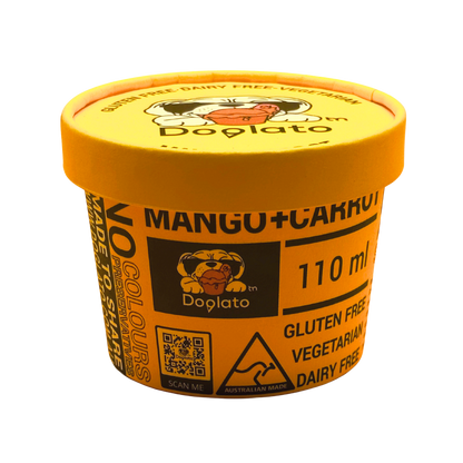 24 x Mango + Carrot Gelato