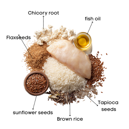 Freeze-Dried Chicken Bites