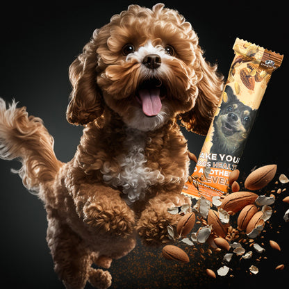 6 Doglato Mix Bars