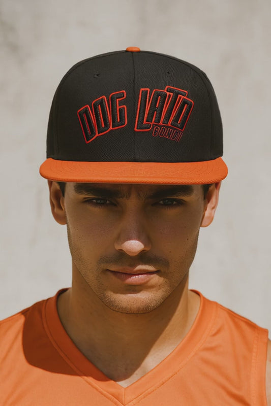 Snapback Hat