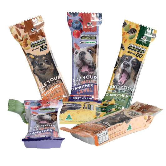 6 Doglato Mix Bars