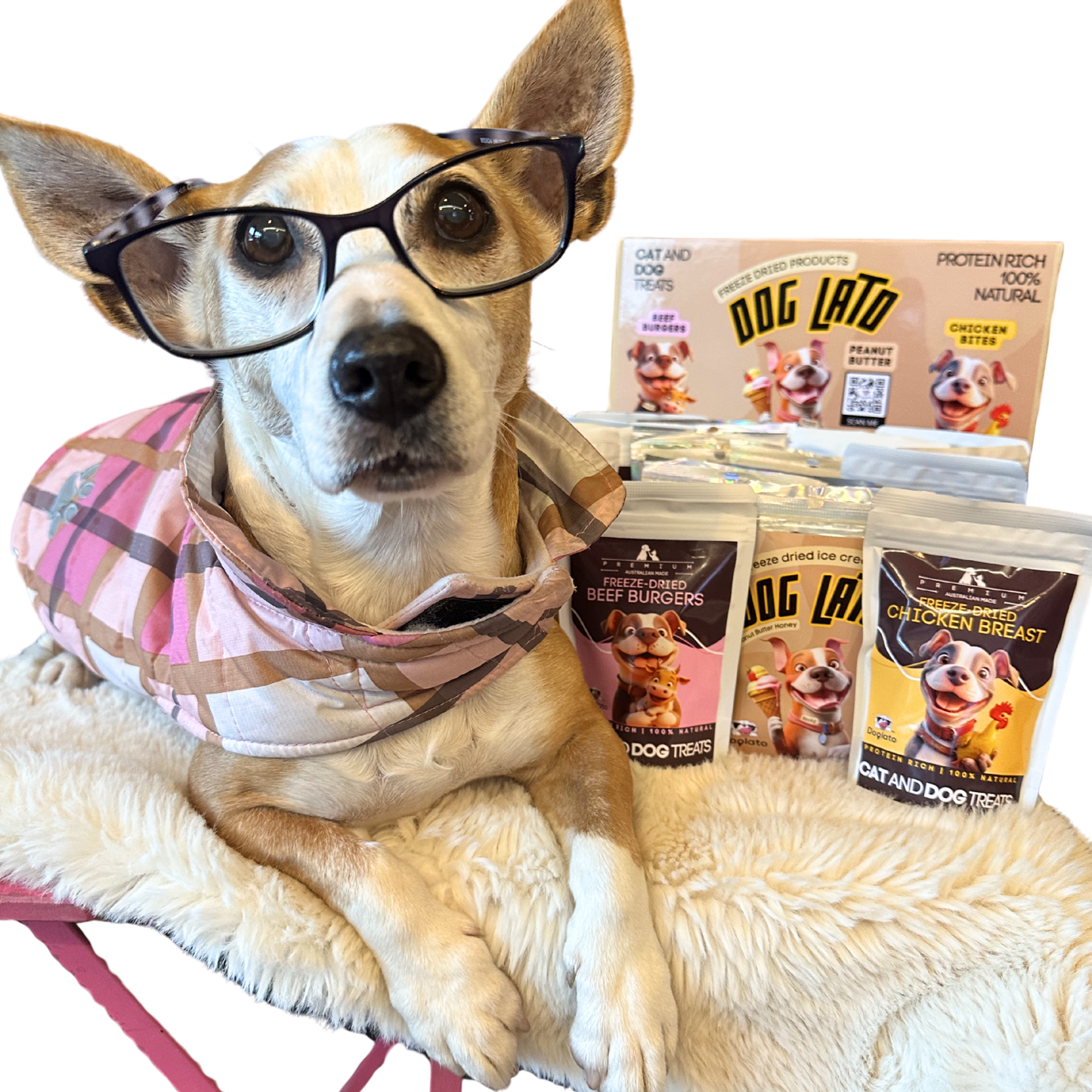 Gifbox, Beef bites, chicken bites, and Peanut butter honey